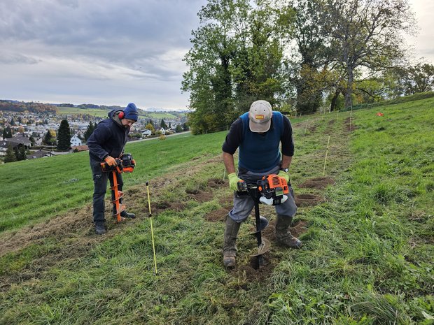 The planting sites for the individual shrubs are pre-drilled