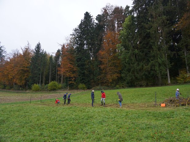 Arbeiten am Waldrand