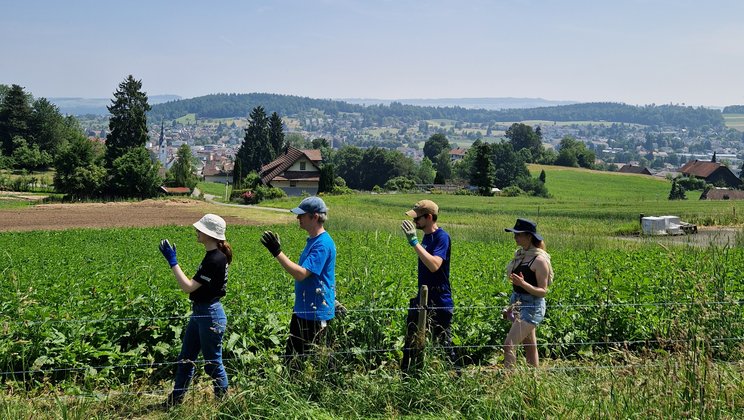 Nicht auf der Abbey Road, sondern in Pfeffikon LU: Das Team von Lucerne Festival, zum dritten Mal im Einsatz für Birdlife Luzern