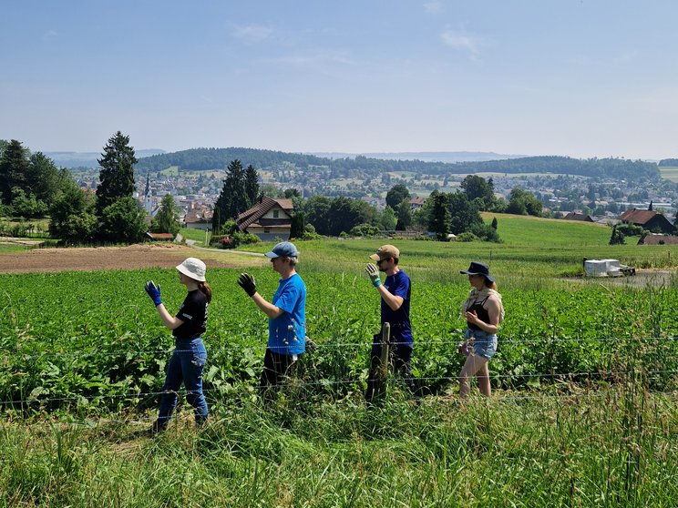 Nicht auf der Abbey Road, sondern in Pfeffikon LU: Das Team von Lucerne Festival, zum dritten Mal im Einsatz für Birdlife Luzern © Lucerne Festival
