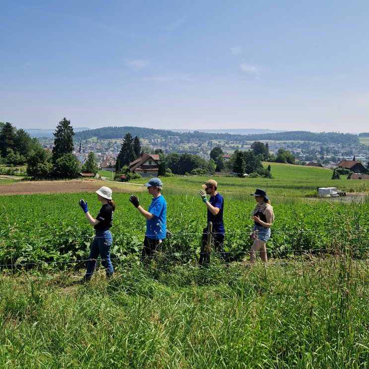Nicht auf der Abbey Road, sondern in Pfeffikon LU: Das Team von Lucerne Festival, zum dritten Mal im Einsatz für Birdlife Luzern
