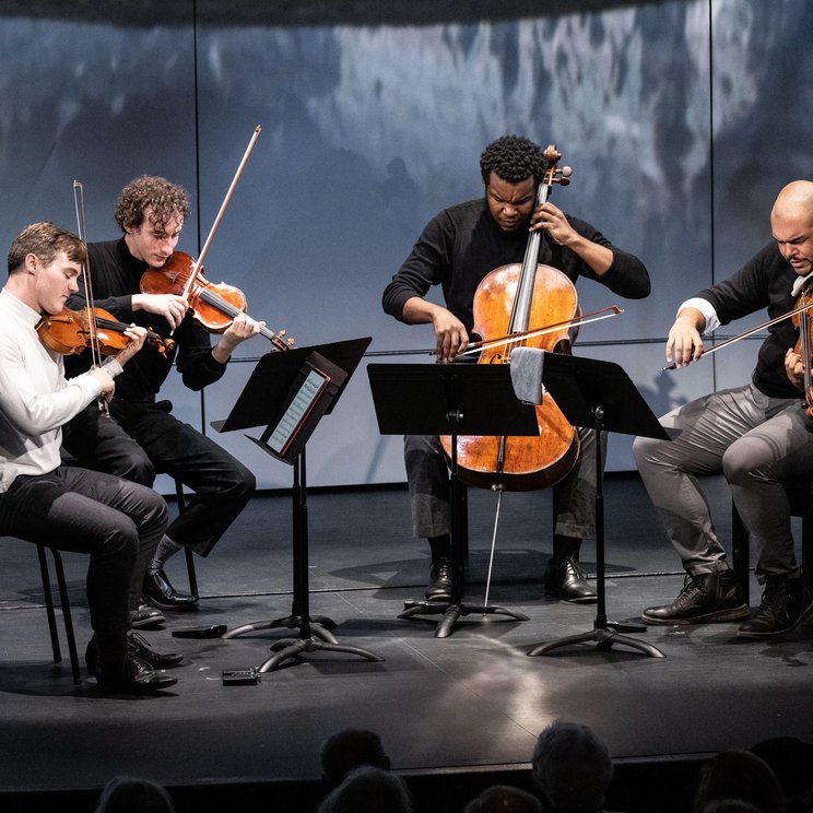 Isidore String Quartet © Rita Taylor