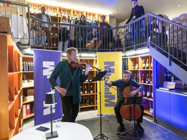 Pre-Concert at Hotel Teufelhof