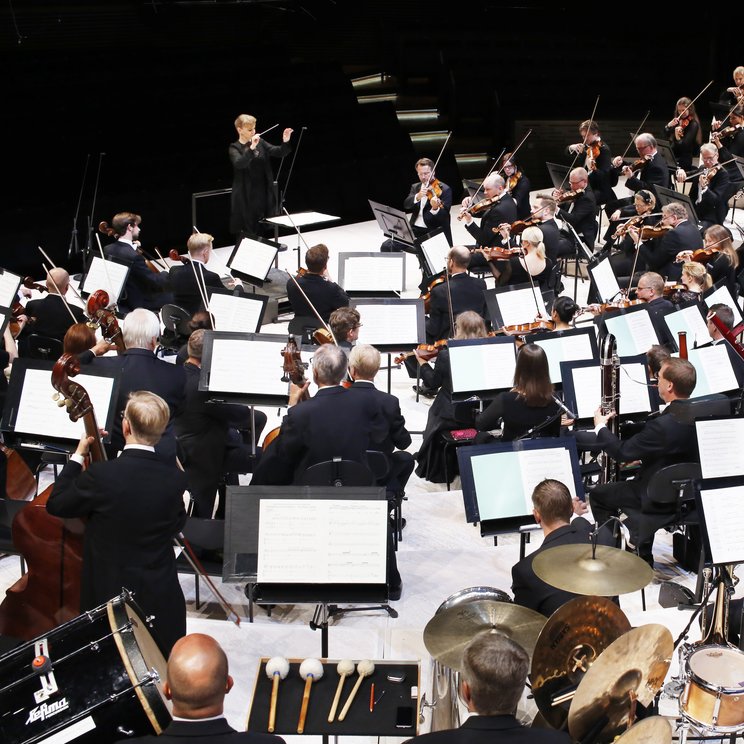 Philharmonic orchestra instruments top