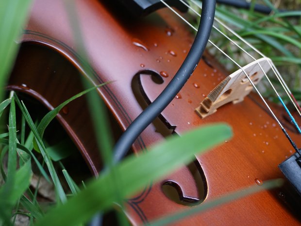 One of the violins used