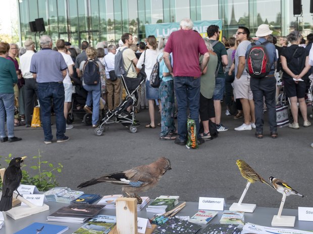 We wonder if the stuffed birds liked the music too...?