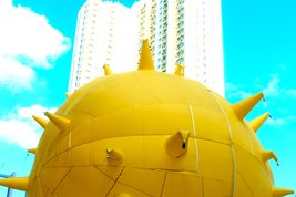 American Dream House © zVg