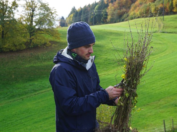 Using only locally produced plants