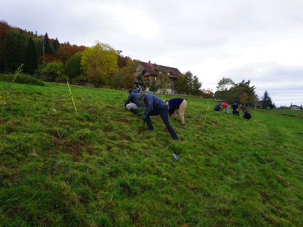 The Festival team giving their all