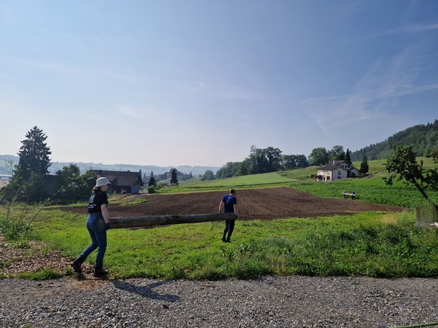 Ein neuer Zaun entsteht: Holzbalken werden angeschleppt