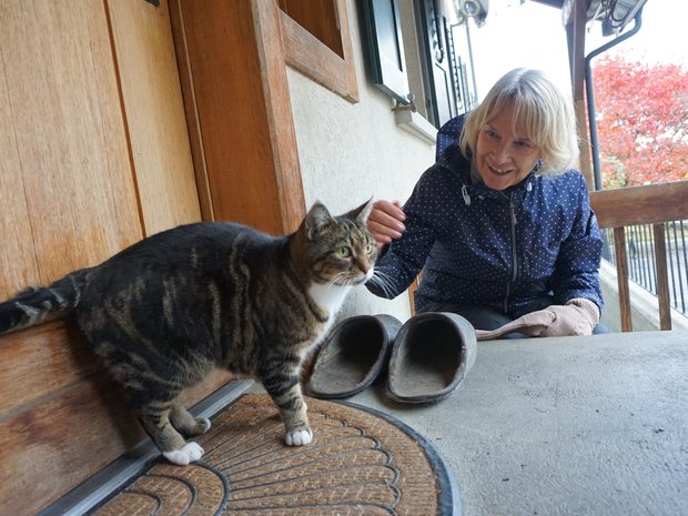 One of the farm's cat makes a quick inspection