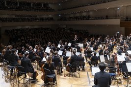 © Patrick Hürlimann/Lucerne Festival