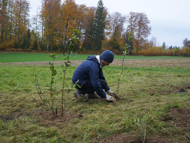 Working in the fields