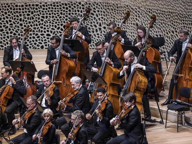 Double bass section of the Lucerne Festival Orchestra