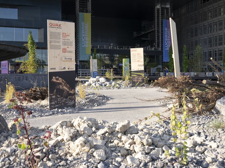 Croak: Sounds by the Water © Andreas Becker